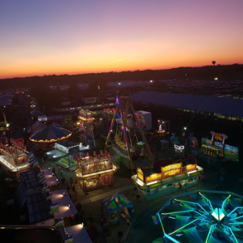 Will County Fair