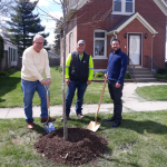 Planting Trees